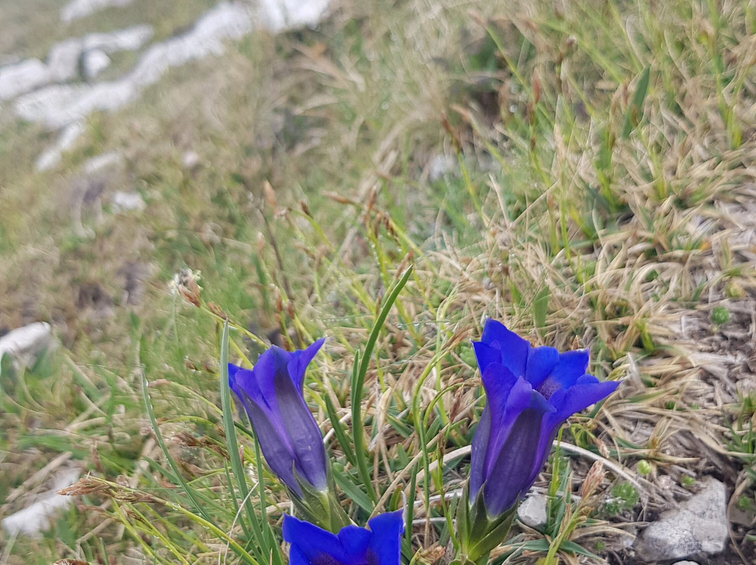 Schwarzenberghütte