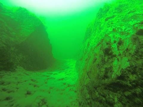 Dive Shack USA-Bullhead City必去景点