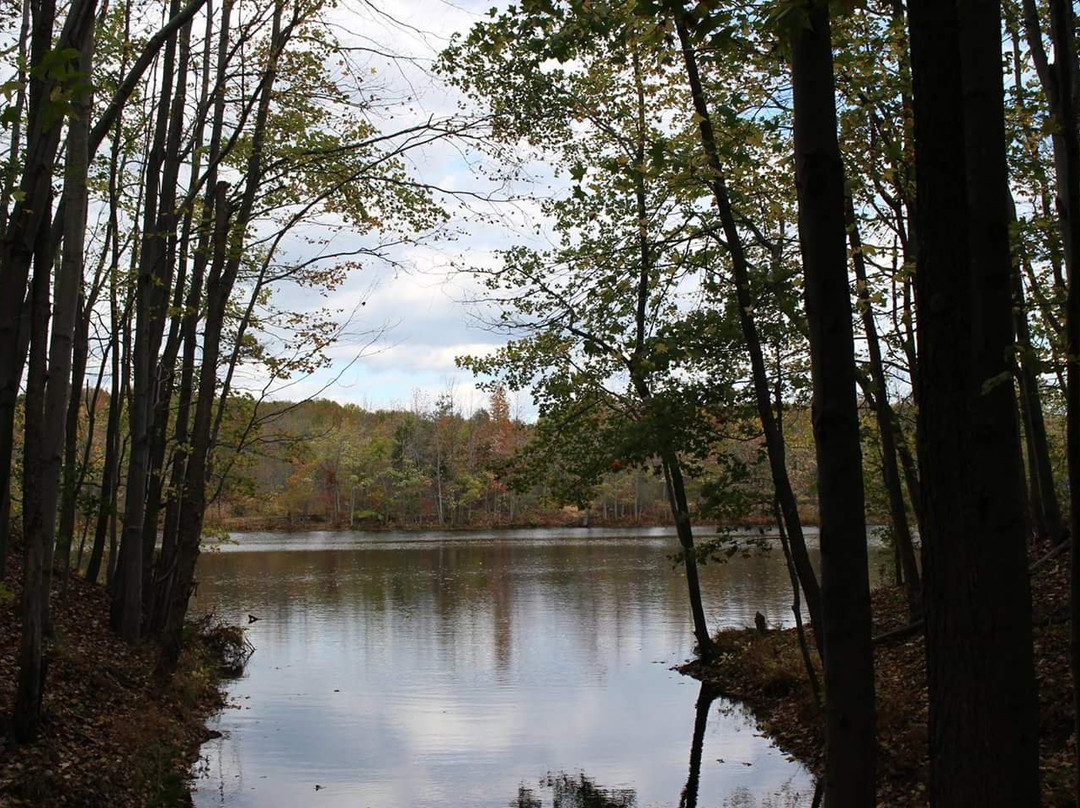 Plainsboro Preserve-Cranbury必去景点