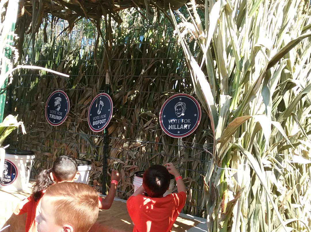 Copper Creek Farm-Calhoun必去景点