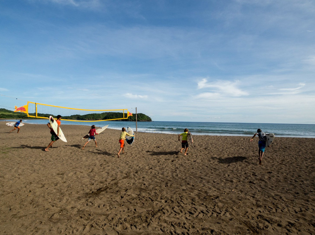 Surf Dojo景点图片