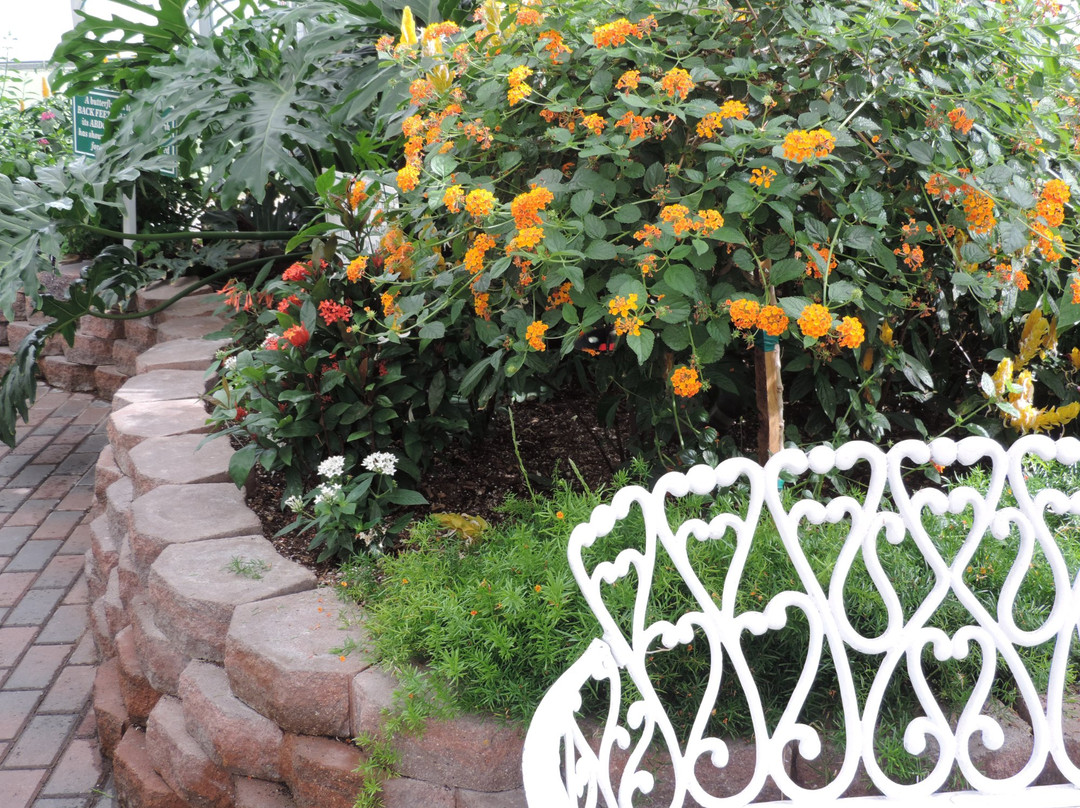 Butterfly House-Whitehouse必去景点