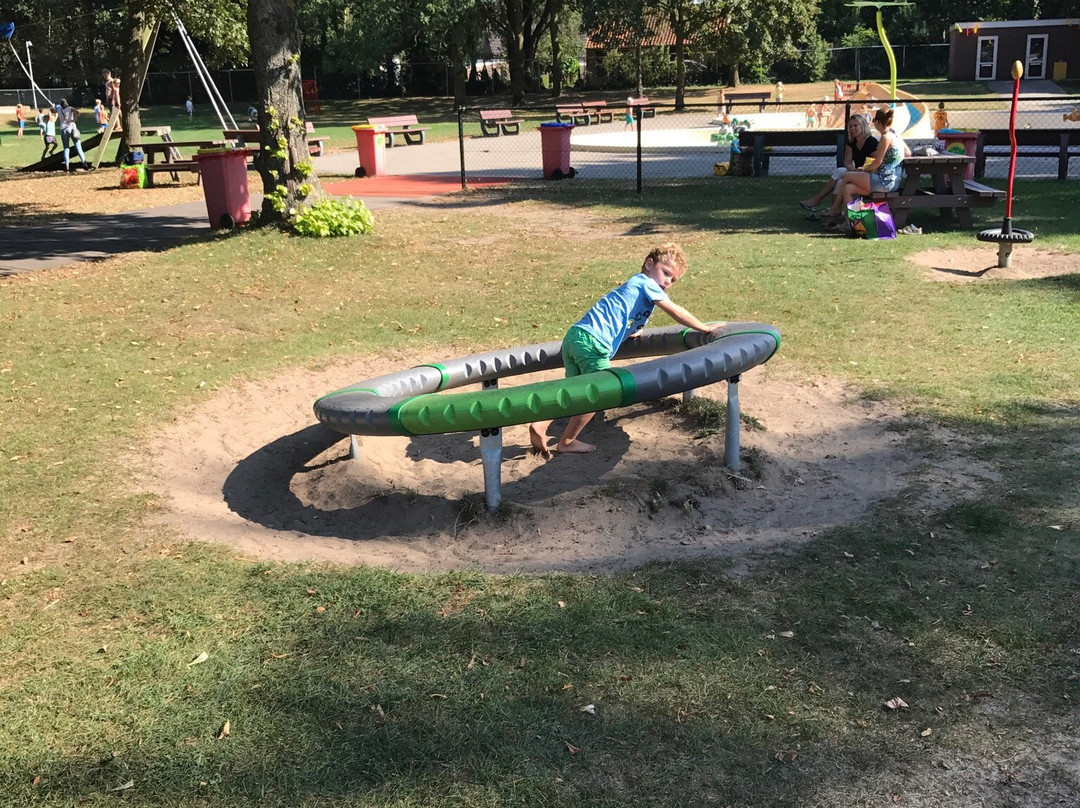 Speeltuin De Blije Dries景点图片