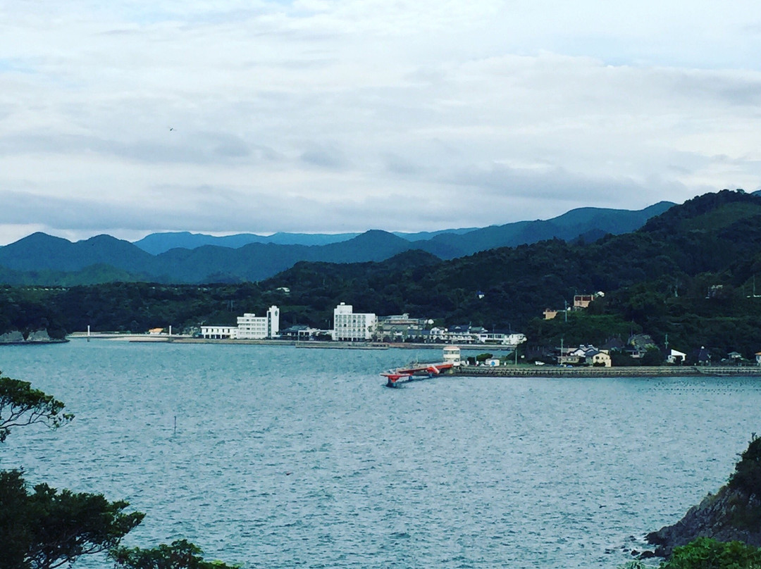 Cherry Blossom Trees along Yunoko Beach Road-水俣市必去景点