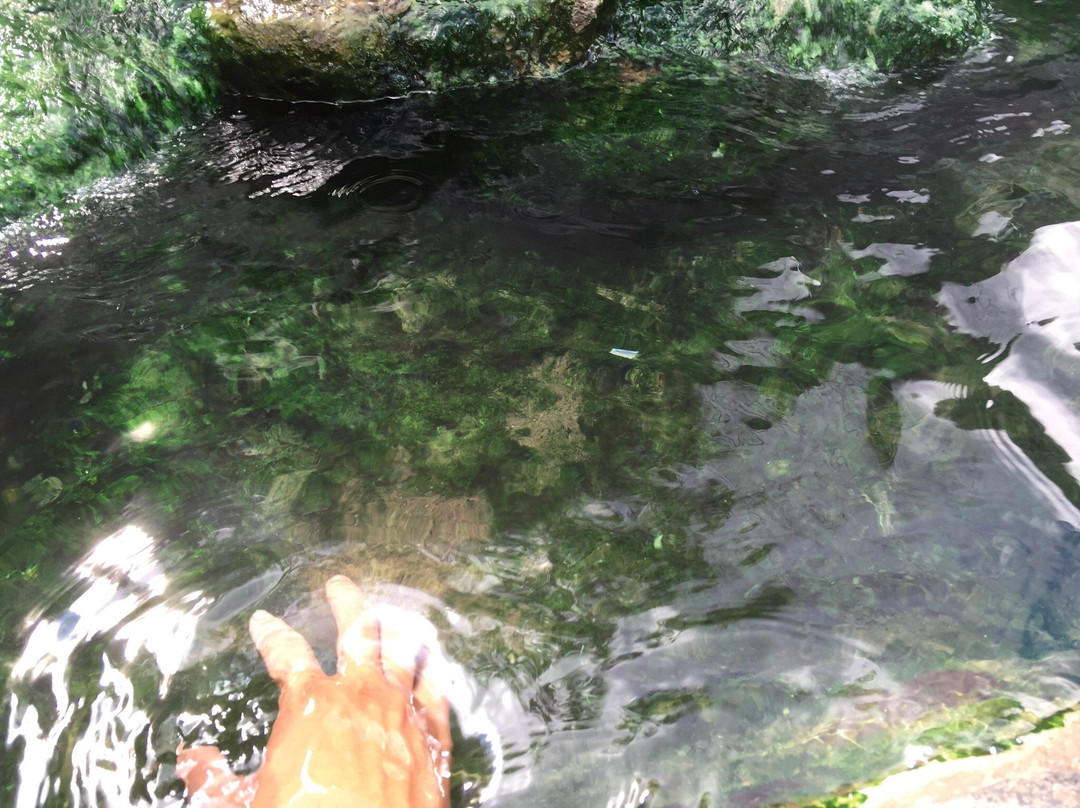 长白山黑风口-白山市必去景点