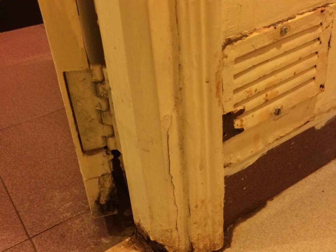 Rangoli Retreat主图