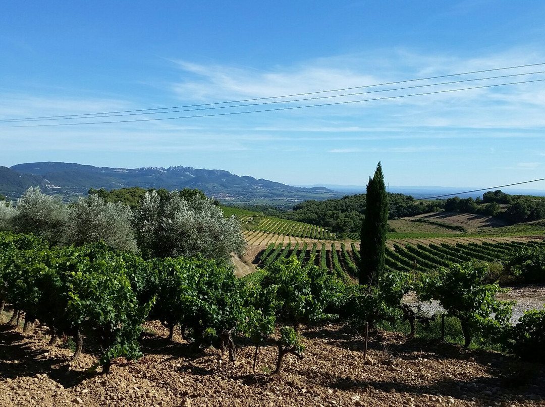Domaine des Escaravailles景点图片