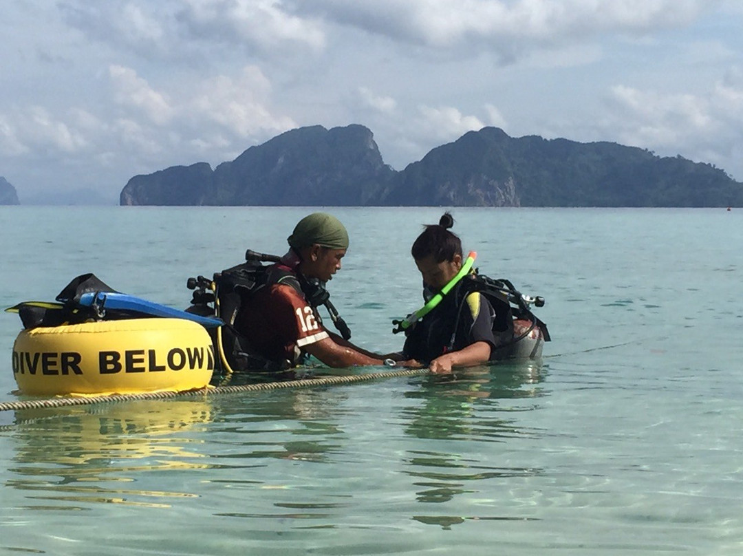 Pro Scuba Diving Service-克雷登岛必去景点