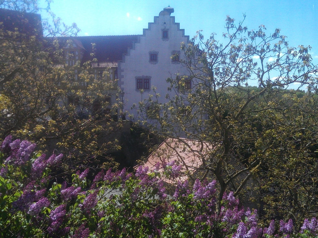 Schloß Liebenstein景点图片