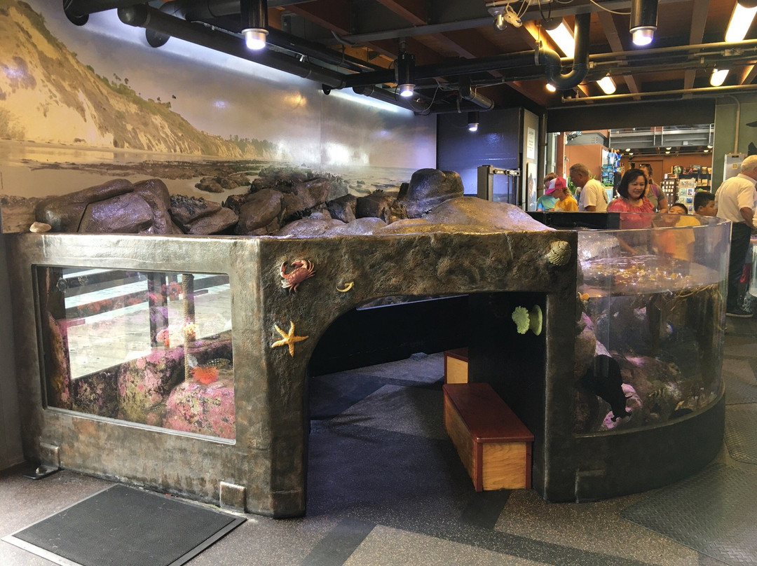 Santa Barbara Museum of Natural History Sea Center-圣巴巴拉必去景点