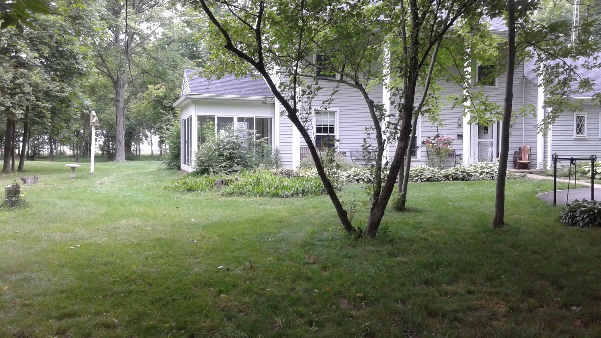 Big House in the Little Woods-官方