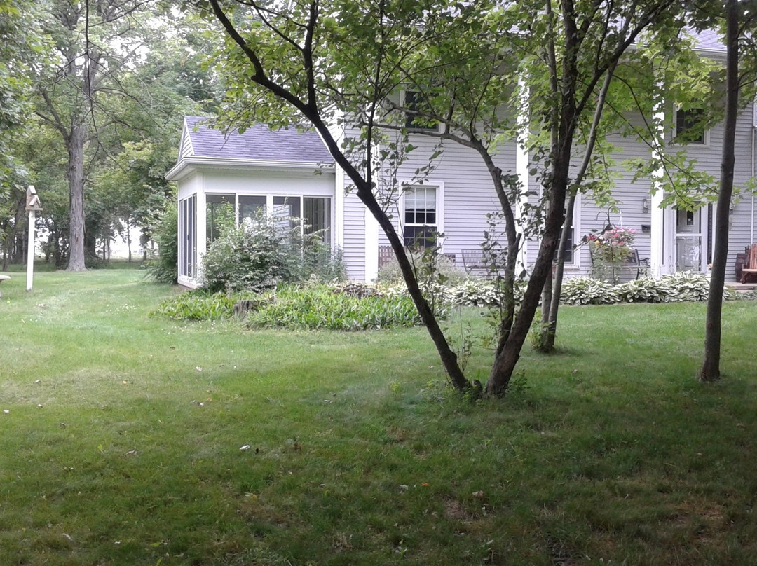 Big House in the Little Woods主图