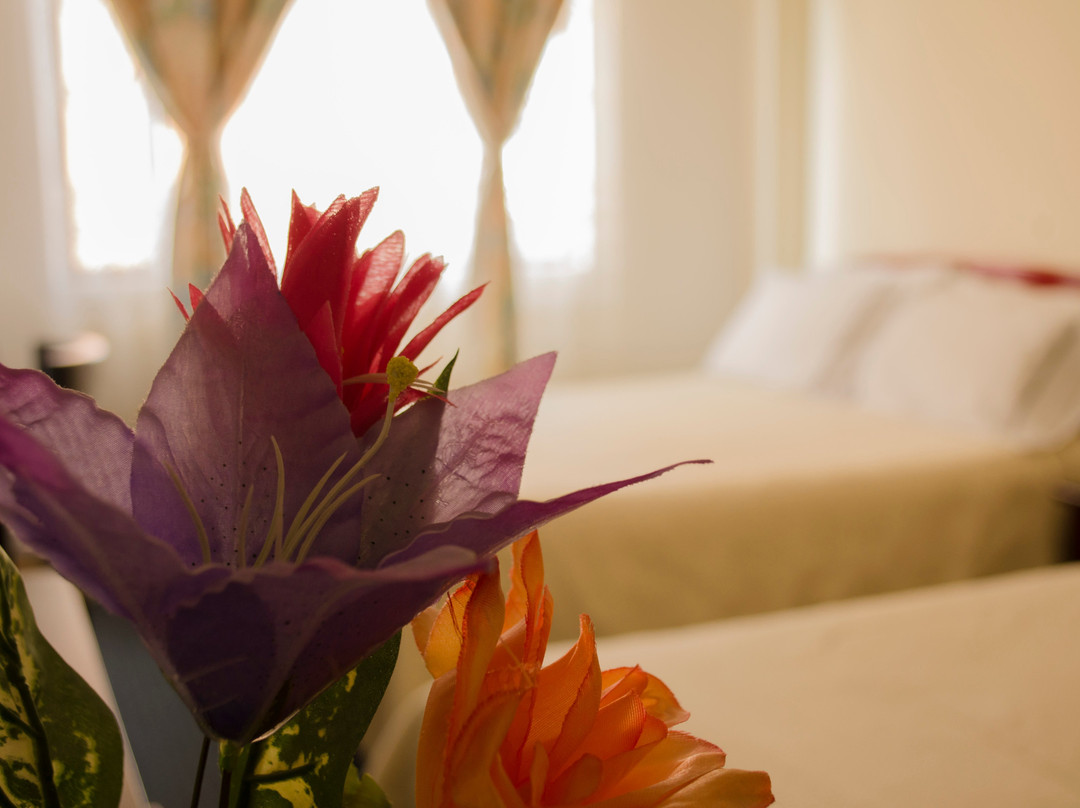 Hotel Los Andes