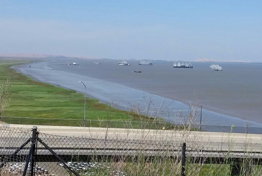 Benicia-Martinez Bridge Vista Point-贝尼西亚必去景点