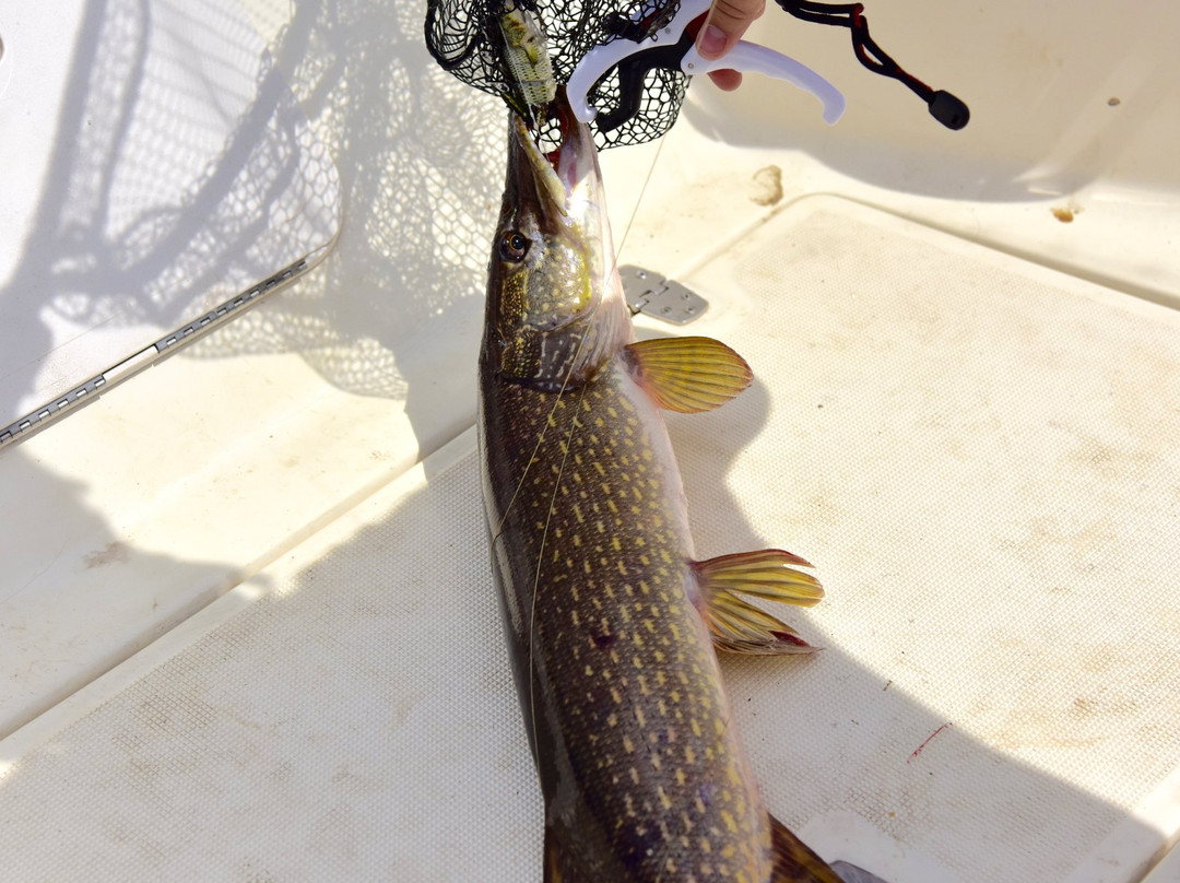 Indian Lake Islands State Park-Sabael必去景点