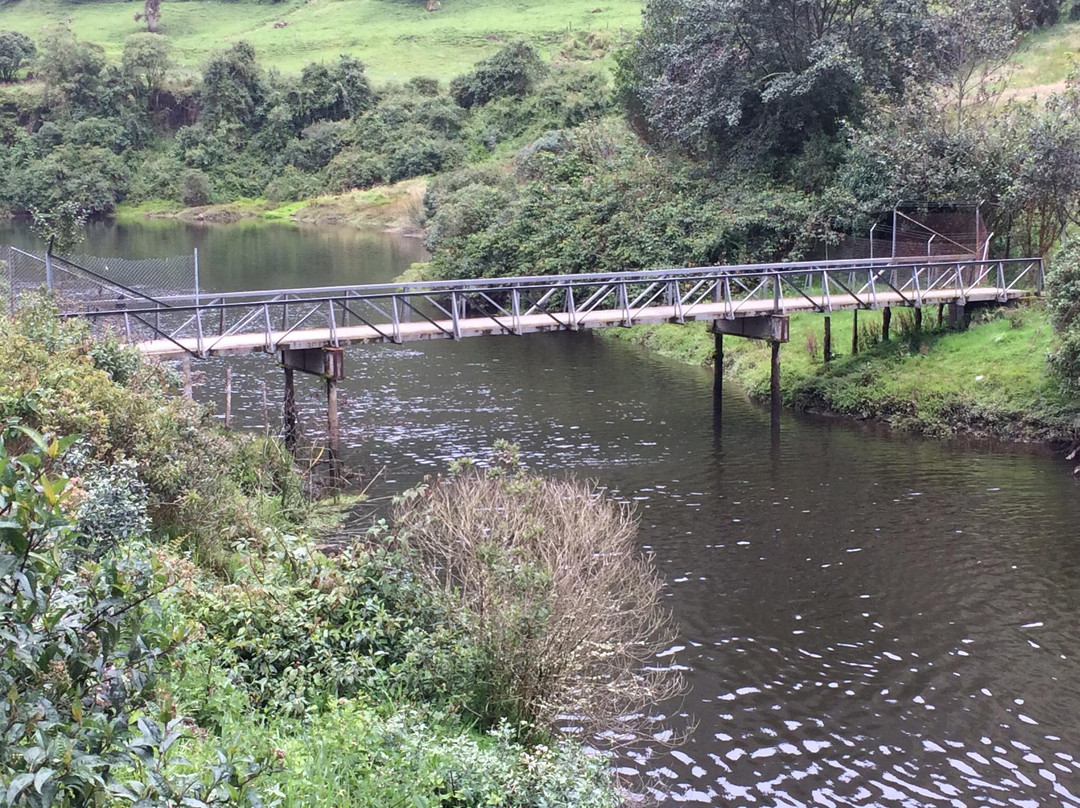 Bioexpeditions-帕帕亚克塔必去景点