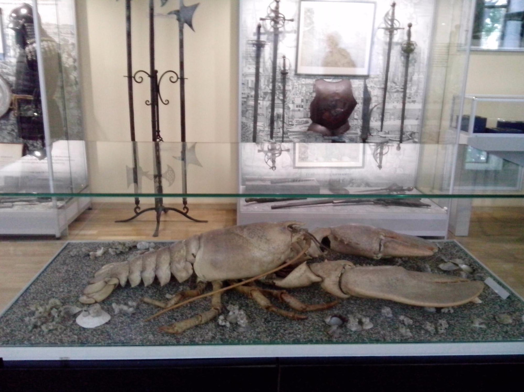 Mykolaiv Regional Museum Of Local History-Mykolaiv必去景点