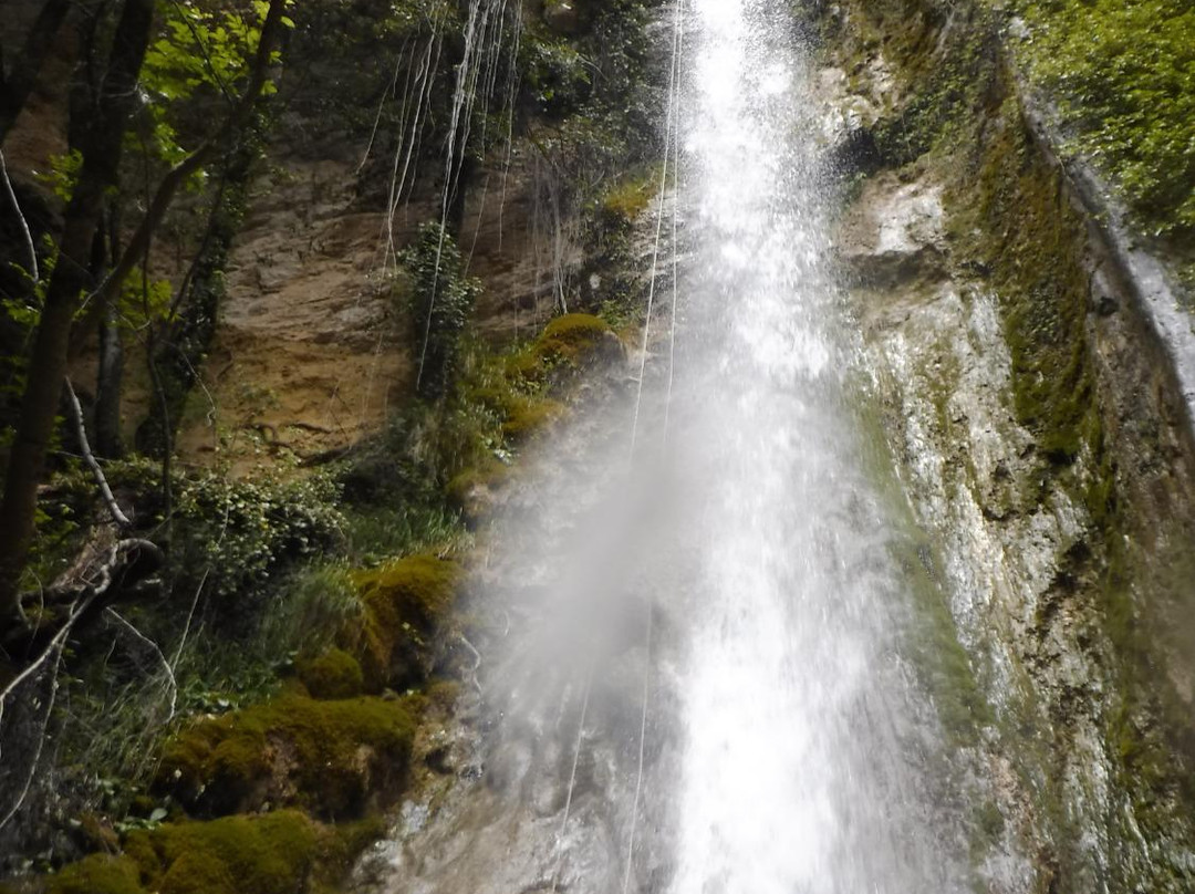 Recovery Energy Adventure Tours-布拉恰诺必去景点