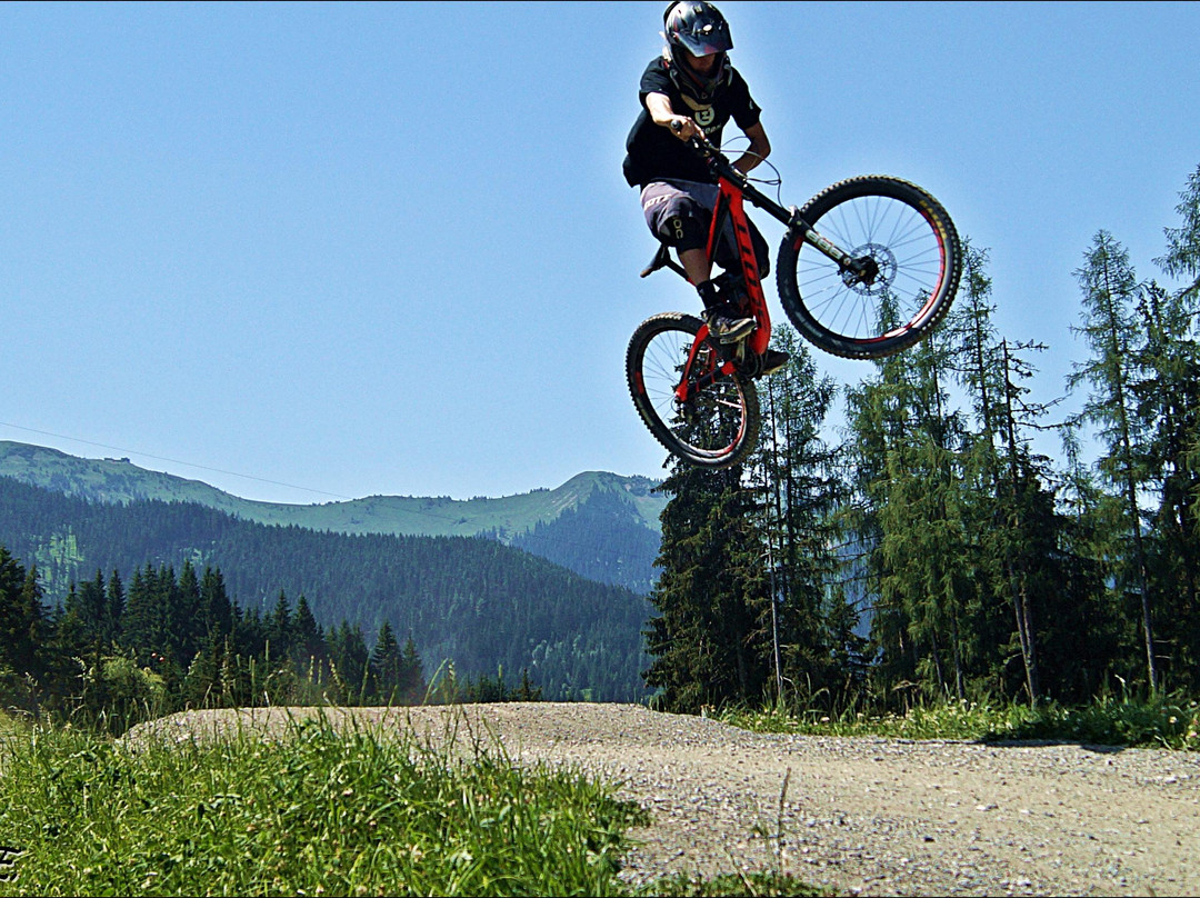 Elements Outdoorsports - Bikeschule im Bike Park Leogang景点图片