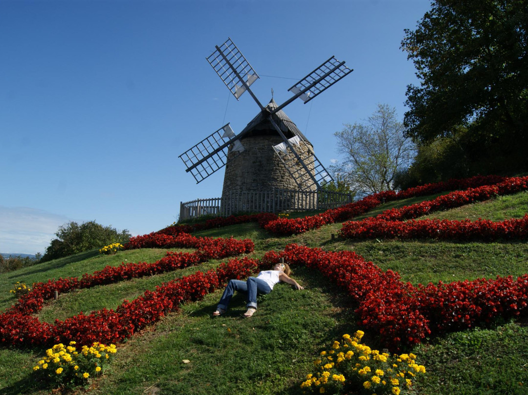 Office de Tourisme du Lautrécois-Pays d'Agout - BIT de Lautrec景点图片