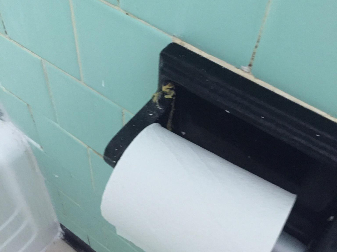 Colony House Motel主图