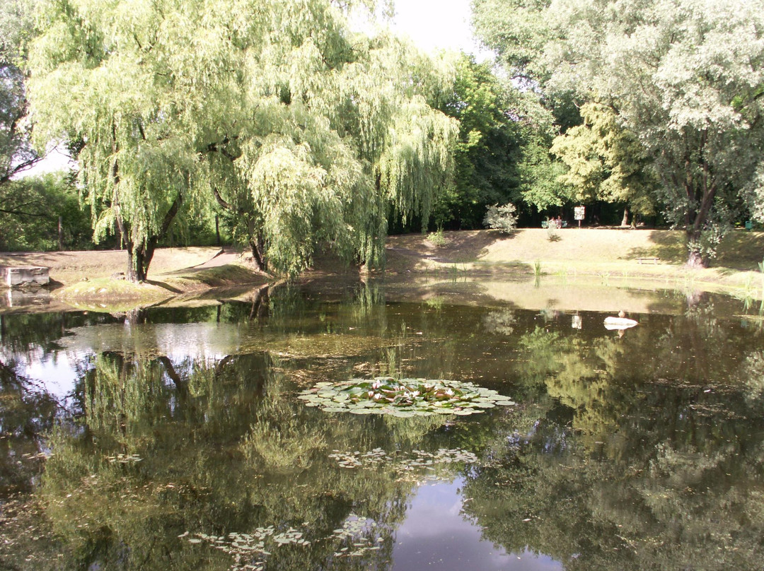Botanisches Garten / Miejski Ogrod Botaniczny景点图片