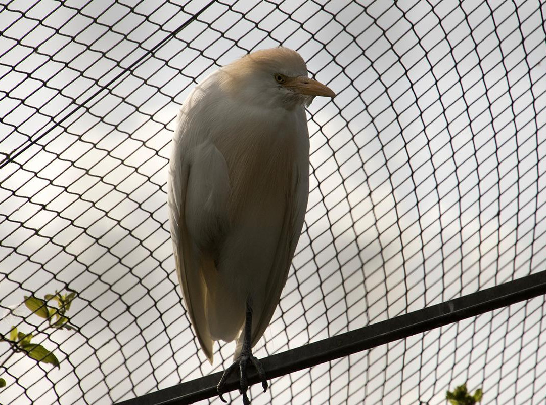 El Rincon de las Aves-Pravia必去景点