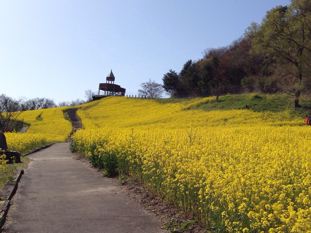 Suiha Highlands-四国中央市必去景点