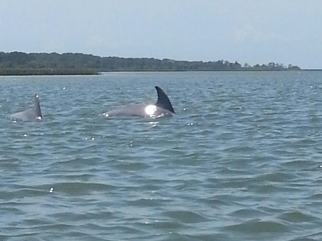 The Kayak Farm-Saint Helena Island必去景点