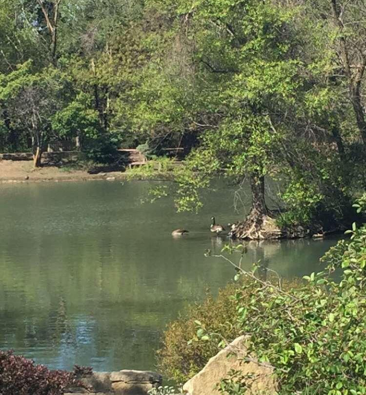 Dillon Nature Center-Hutchinson必去景点