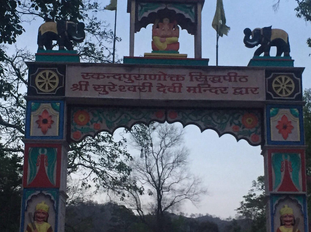 Sureshwari Devi Temple景点图片
