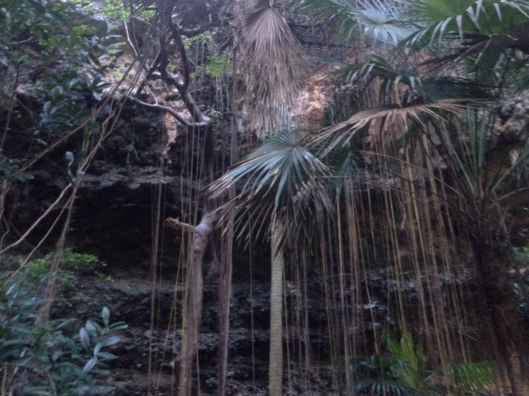 Darby's Cave-巴布达必去景点