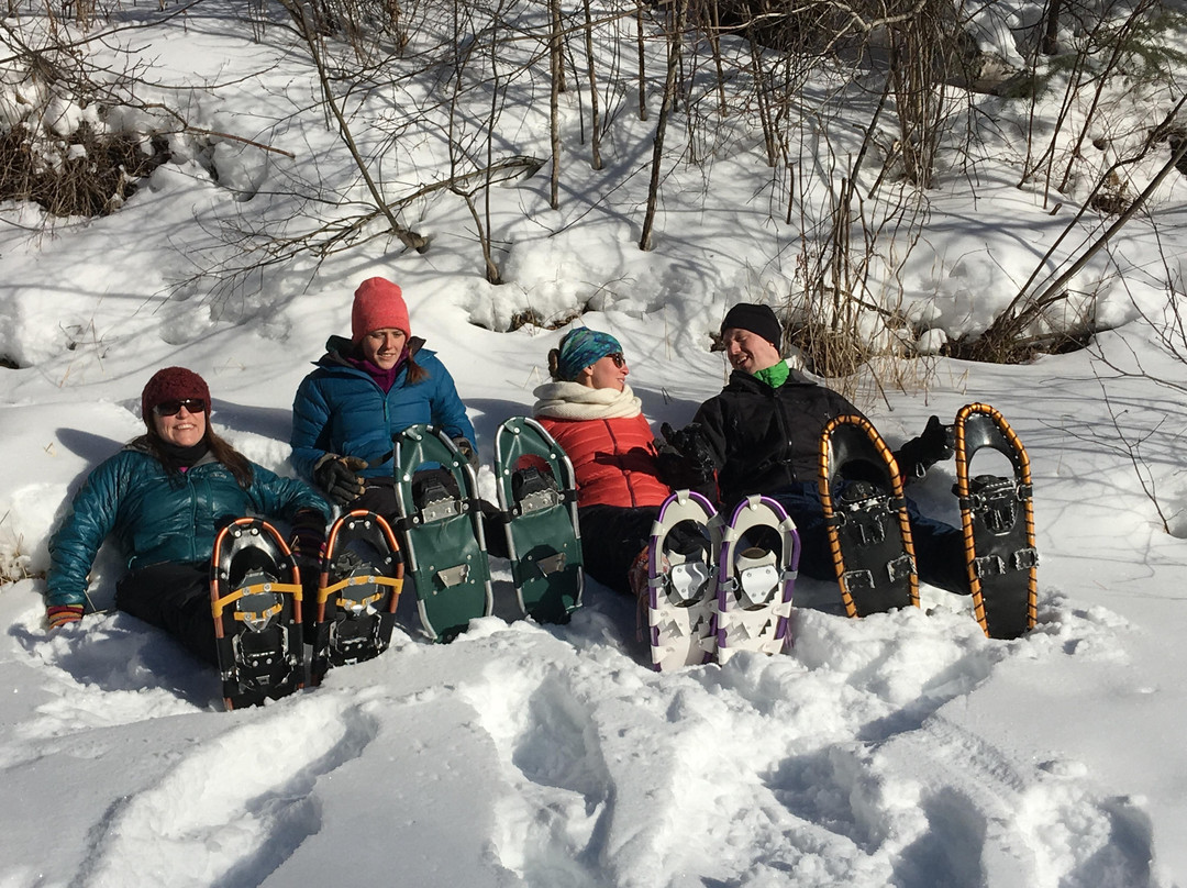 The Duluth Experience-德卢斯必去景点