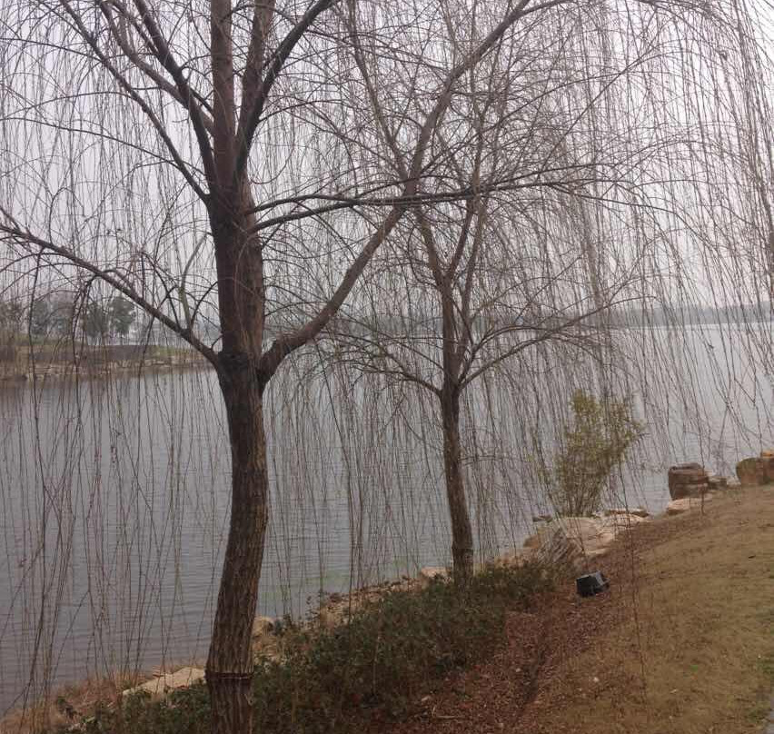 遗爱湖公园-黄冈市必去景点