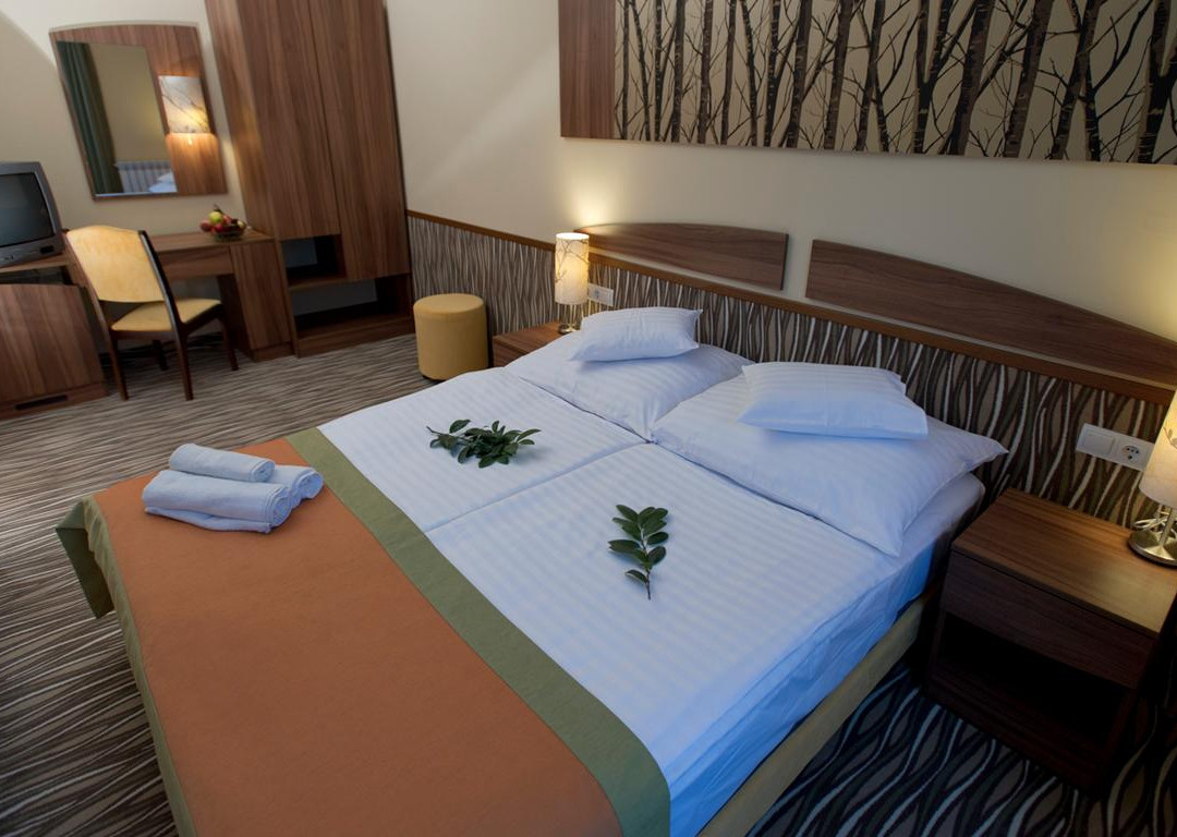 Park Hotel Gyula主图