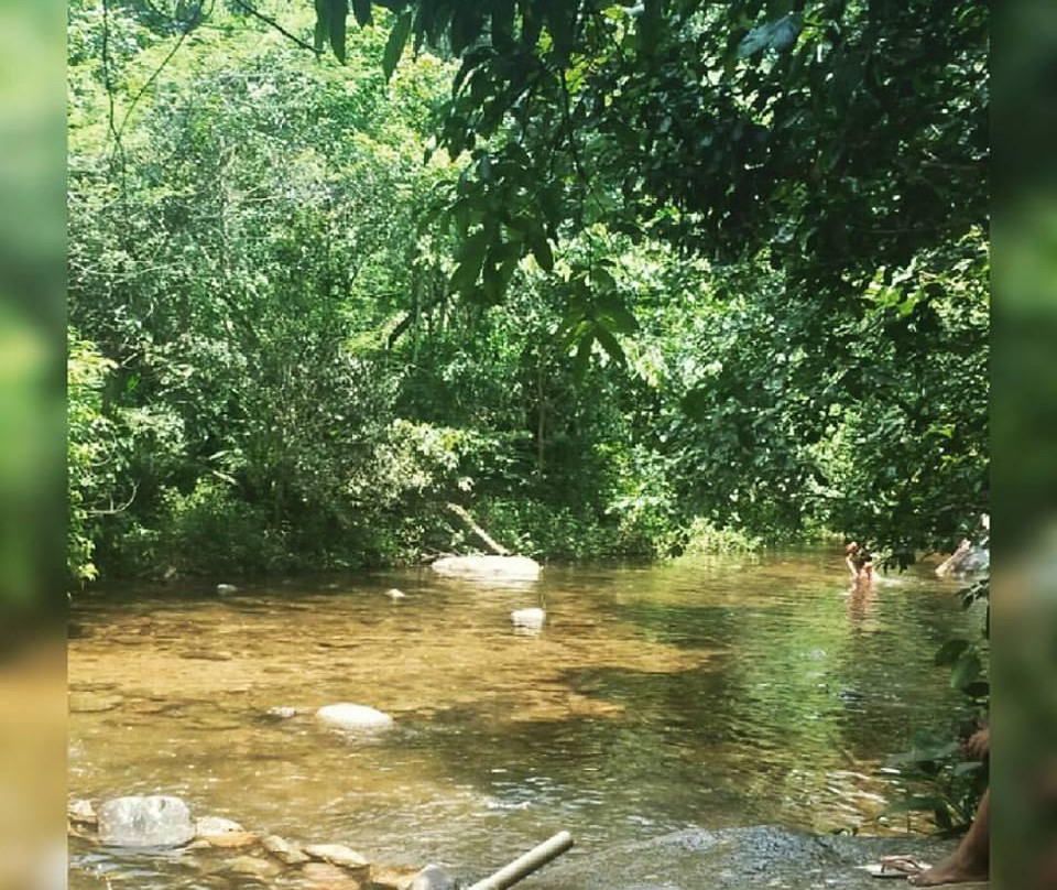 Parque Estadual Serra do Mar - Núcleo Caraguatatuba-Caraguatatuba必去景点