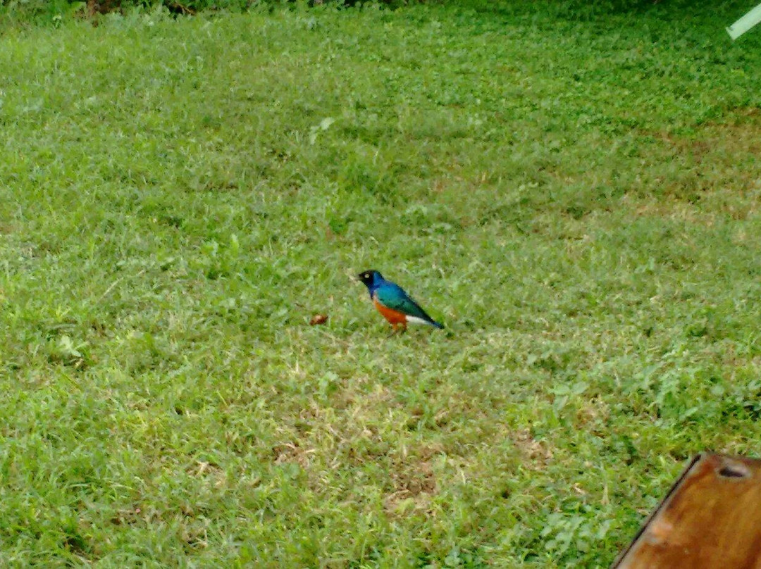 Homa Bay Tourist Hotel主图