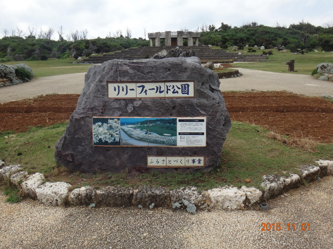 Lily Field Park-伊江村必去景点