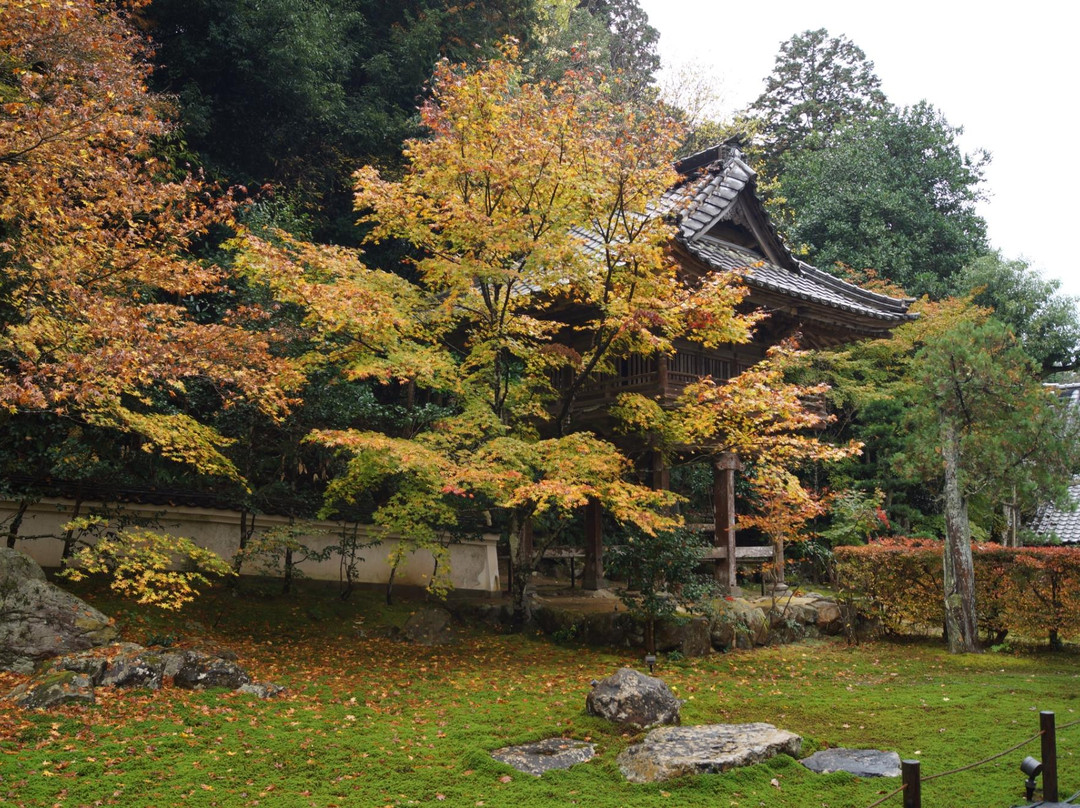 Sukyoji Temple - Takuanji Temple-丰冈市必去景点