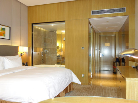 徐州博顿温德姆酒店（高铁东站店）主图