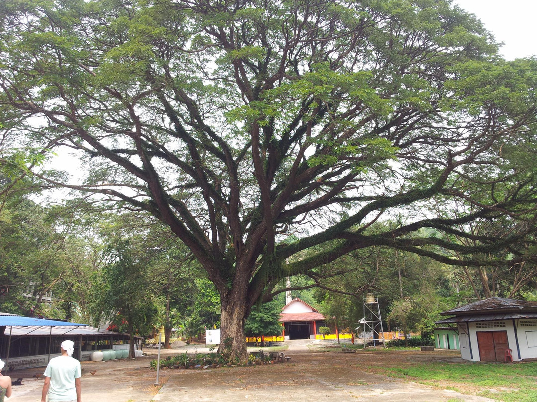 Wat Tham Khiri Wong景点图片