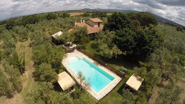 Il Pozzo Romano-官方