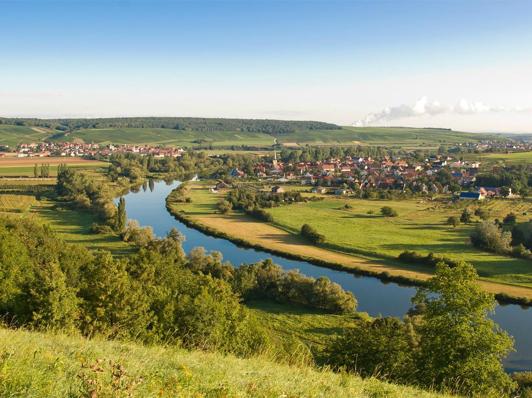 Pension Familienweingut Braun主图