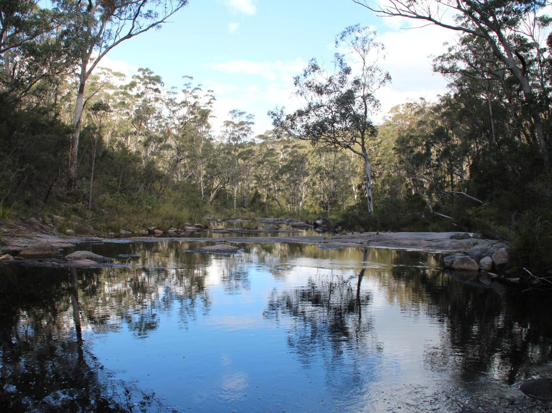 Basket Swamp National Park景点图片