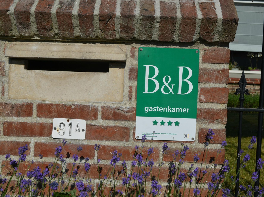 B&B Fresnere主图