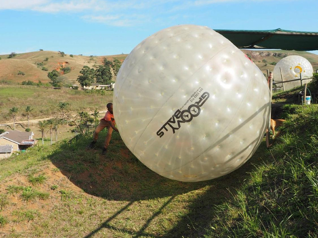 Groovy Balls-Hillcrest必去景点