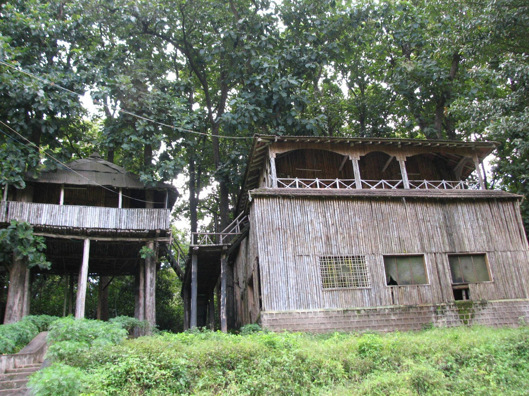 Anamalai Wild Life Sanctuary-Pollachi Town必去景点