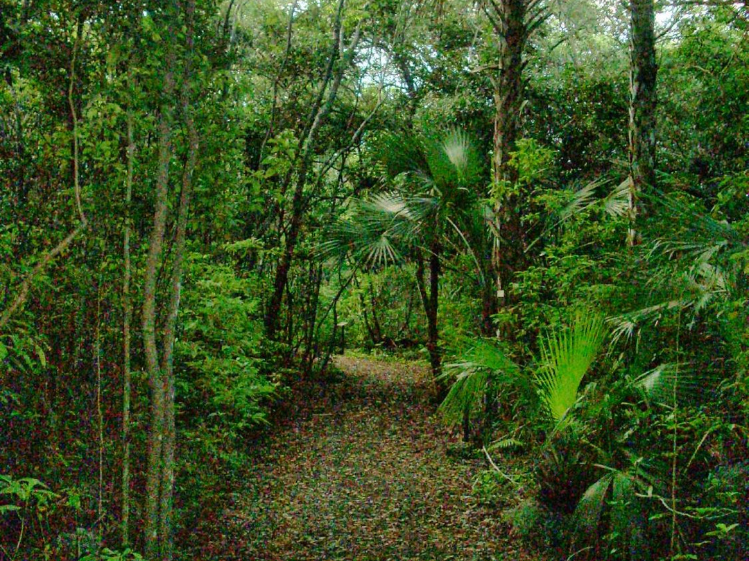 FIU Nature Preserve-迈阿密必去景点