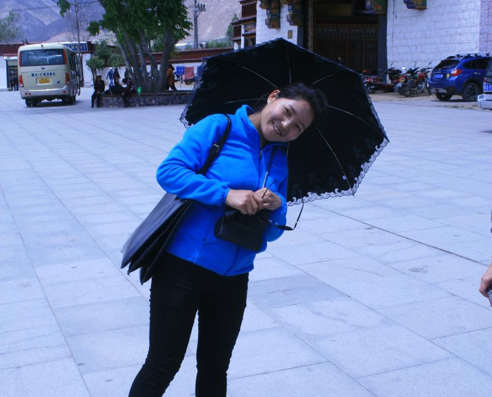 Xizang Odyssey Tours拉萨的一日游-拉萨市必去景点