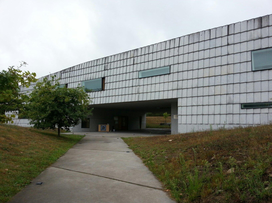 Parque Arqueológico Del Arte Rupestre景点图片